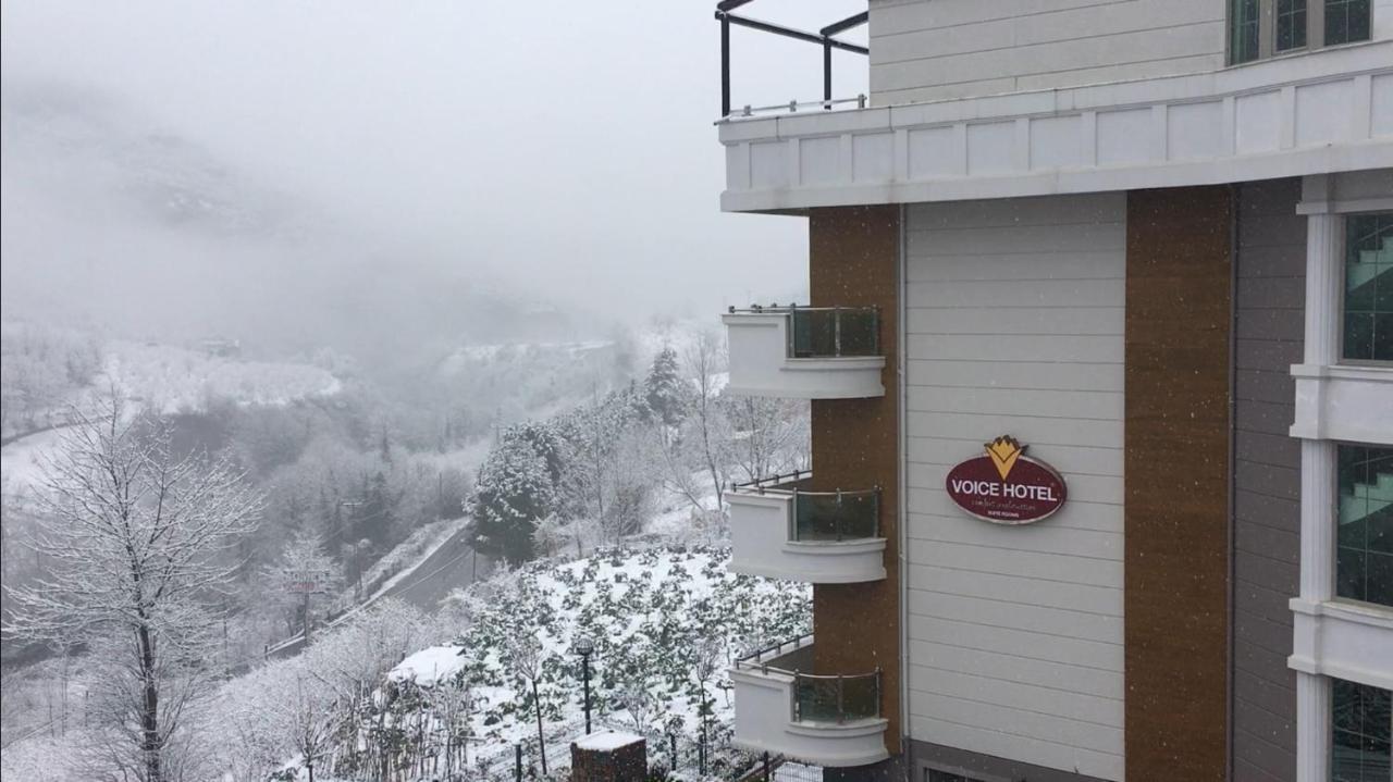 Voice Hotel Macka Rum bild
